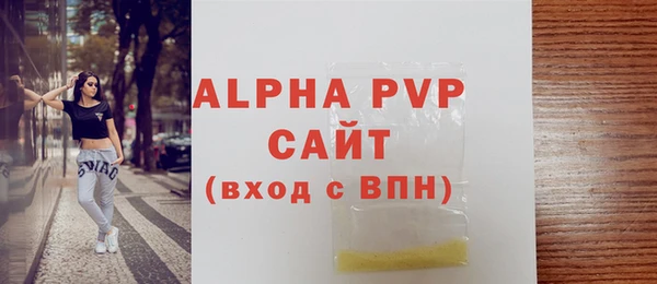 индика Протвино
