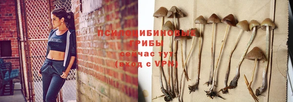 spice Абдулино