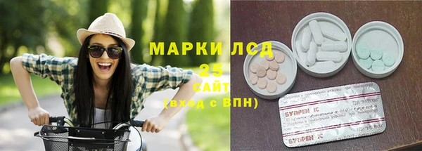 индика Протвино